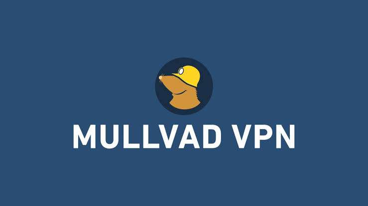 Оплатили Mullvad VPN по рекомендации и оправдали доверие