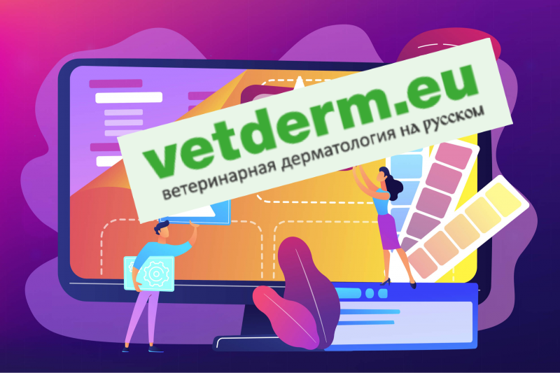 Как платить за обучение в Vetderm после санкций