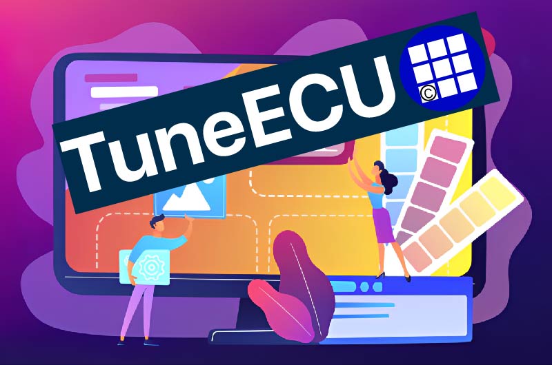 Как оплатить TuneECU из России