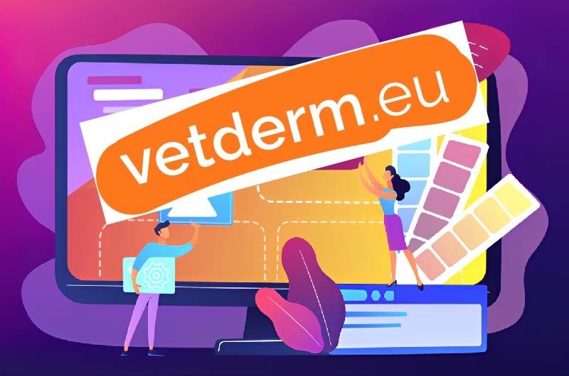 Как платить за обучение в Vetderm после санкций