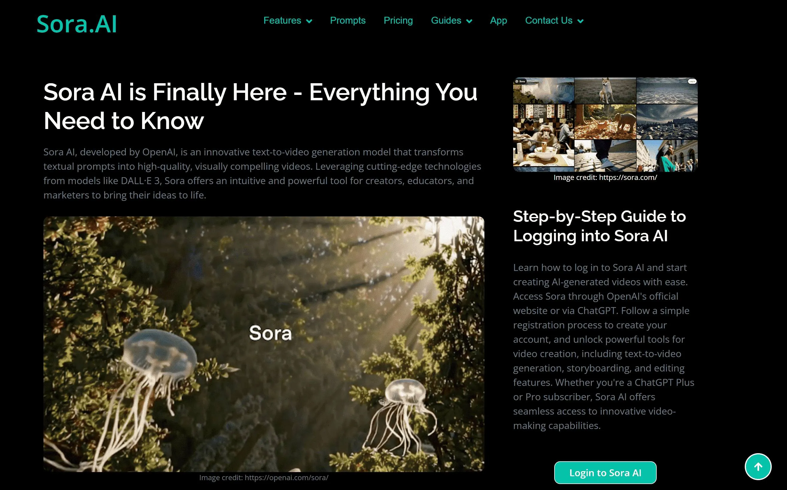 Инструкция по оплате Sora в России